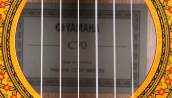 4 گیتار مناسب برای شروع [با اولویت خرید]